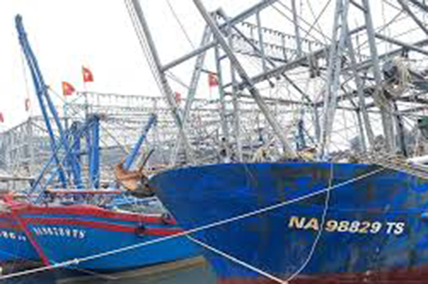 Nghệ An chống khai thác IUU – Hướng đi bền vững cho nghề cá