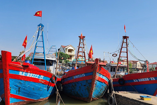 Nghệ An: Thực hiện một số nhiệm vụ trọng tâm chống khai thác IUU
