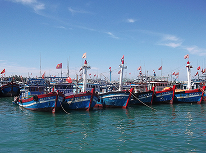 Nghiệp đoàn nghề cá hỗ trợ ngư dân