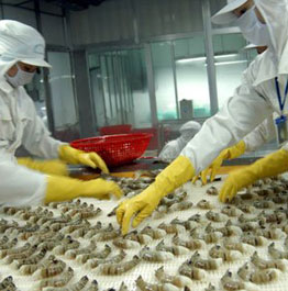 Vietnam shrimp exports after the CPTPP took effect