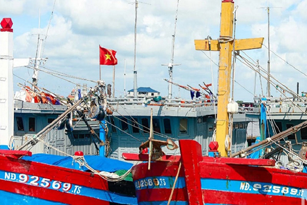 Ninh Bình: Triển khai hệ thống nhật ký khai thác và truy xuất nguồn gốc