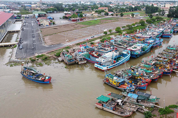 Ninh Bình: "Tuyên chiến" với khai thác IUU, hướng đến phát triển bền vững