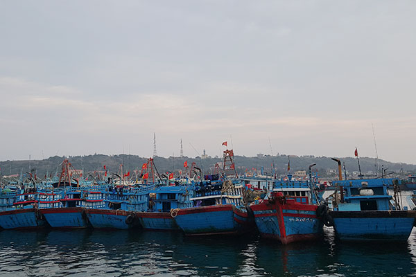 Các trường hợp được cấp phép Nhập khẩu tàu cá
