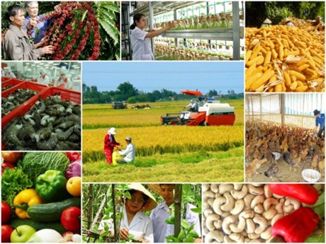 Năm 2021, tỉnh Đắk Lắk đặt các mục tiêu kinh tế nông, lâm, thủy sản tăng từ 3,76 - 3,85%