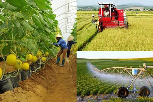Ngành Nông nghiệp: Bứt phá trong hai tháng cuối năm để hoàn thành kế hoạch