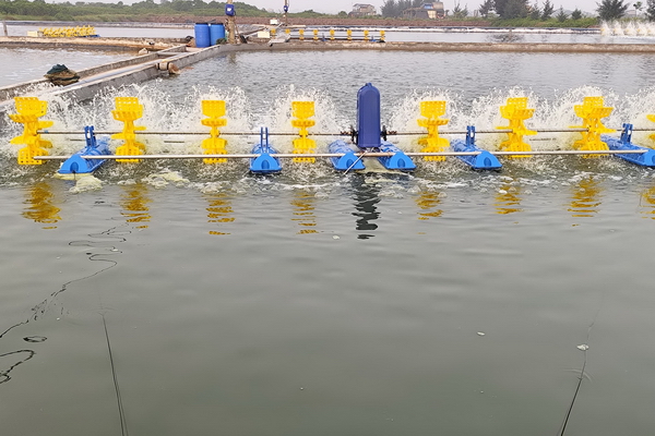 ​Quản lý nuôi trồng thủy sản theo hướng hiện đại, minh bạch và bền vững