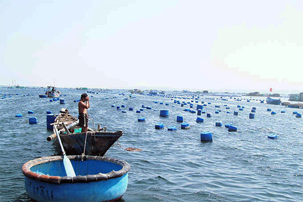 Nuôi biển Việt Nam và vai trò của chương trình tín dụng đầu tư trong nuôi biển