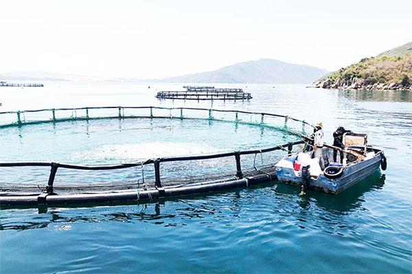 Implementing A Range of Solutions to Secure and Develop Highly Productive Aquatic Resources in Khanh Hoa Province