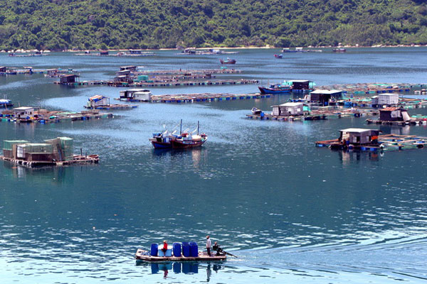 Biến đổi khí hậu và sự gia tăng dân số dẫn đến nghề nuôi hải sản ở vùng biển mở