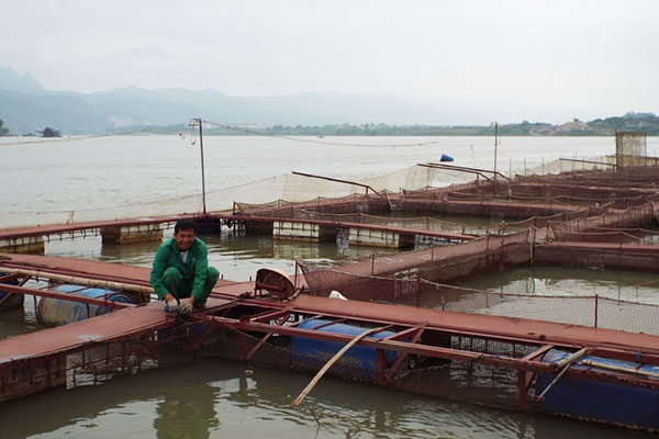 Bảo vệ, tái tạo và phát triển nguồn lợi thủy sản lưu vực sông Đà