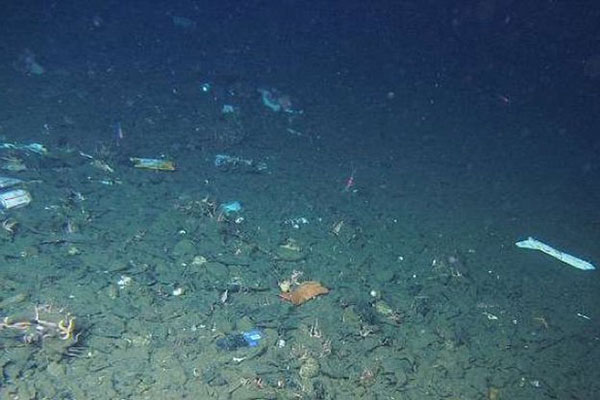 Ô nhiễm nhựa được phát hiện tại điểm sâu nhất của đại dương