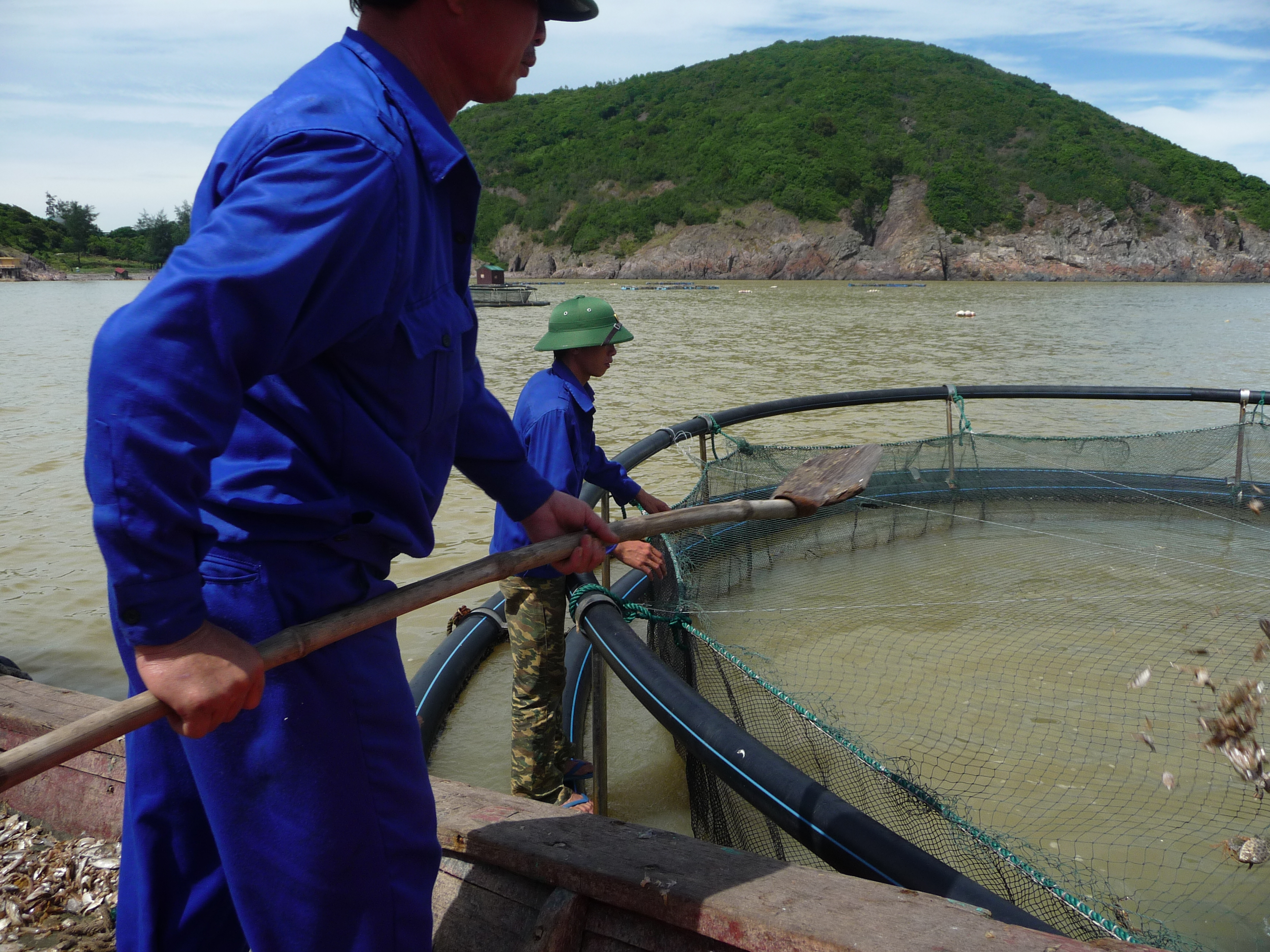 Phu Yen shift the structure of aquaculture in the direction of raising aquaculture value