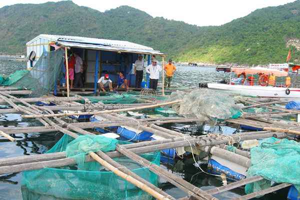 Phú Yên: Phòng, chống dịch bệnh cho động vật thủy sản 2019-2020
