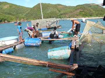 To create motivation for sustainable development of seaculture