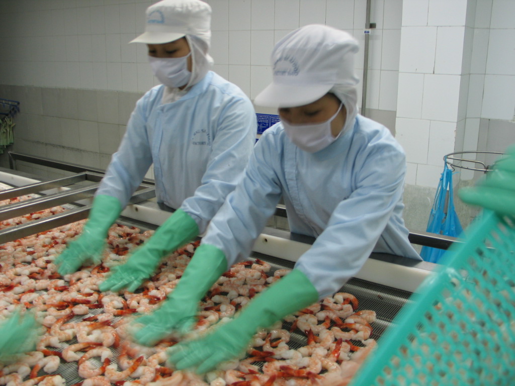 Shrimp export turnover increased 22 per cent