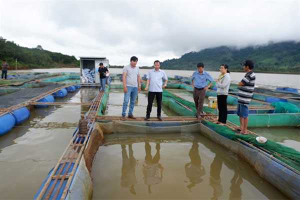 Gia Lai: Đẩy mạnh phát triển thủy sản trên địa bàn tỉnh