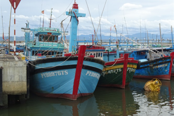 Nhiều năm qua, tỉnh Phú Yên không có tàu cá vi phạm đánh bắt hải sản vùng biển nước ngoài bị bắt giữ, xử lý