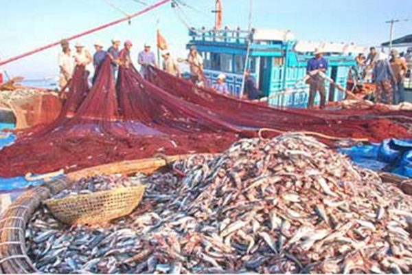 Quang Binh: Closely Monitor the List of Fishing Vessels at High Risk of Violating Foreign Waters to Exploit IUU Fishing