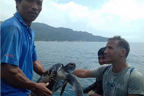 Quảng Nam: Thả cá thể rùa quý về đại dương