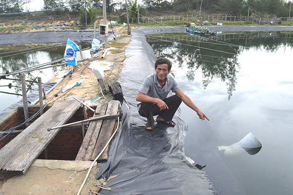 Quảng Nam: phát triển thủy sản theo hướng hiện đại, thân thiện môi trường