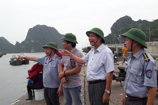 Tổng cục Thủy sản: Chỉ đạo ứng phó cơn bão số 7 tại Quảng Ninh
