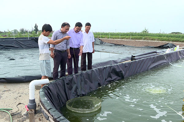 Ninh Bình: Tăng cường công tác quản lý, quan trắc môi trường và phòng ngừa dịch bệnh trong nuôi trồng thủy sản
