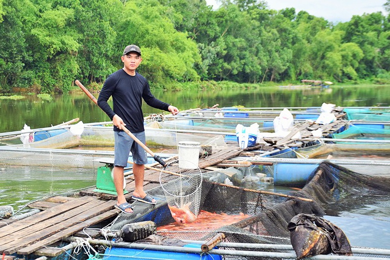 Quảng Nam: Hướng dẫn khung thời vụ nuôi thủy sản nước lợ và nước ngọt năm 2023