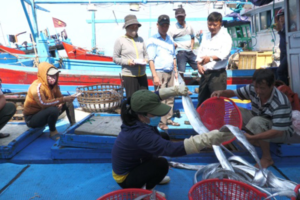Quảng Ngãi: Không xuất khẩu sản phẩm thủy sản IUU