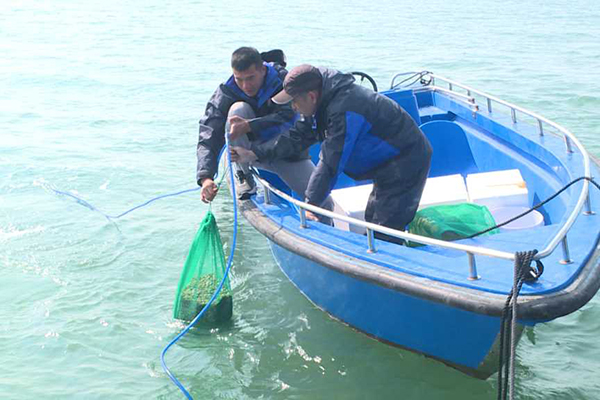 Quảng Ninh phấn đấu hoàn thành giao khu vực biển theo quy hoạch