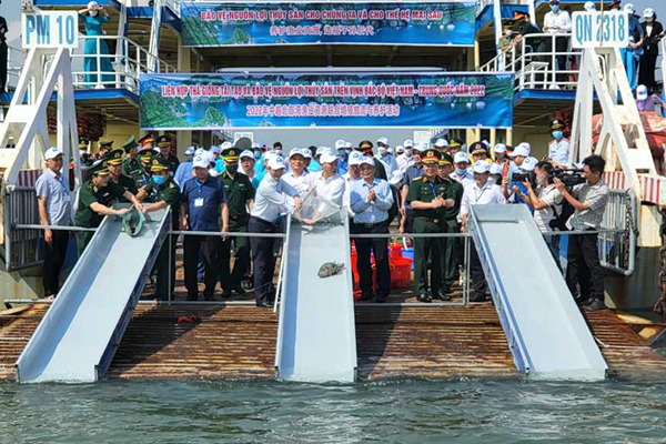 Quảng Ninh: Quy hoạch, quản lý, phát triển bền vững nguồn lợi thủy sản