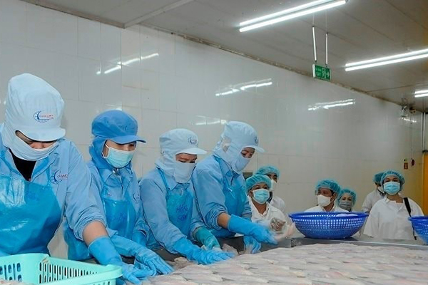 Quy định mới trong xuất khẩu thủy sản sang Hoa Kỳ: Những điều cần biết