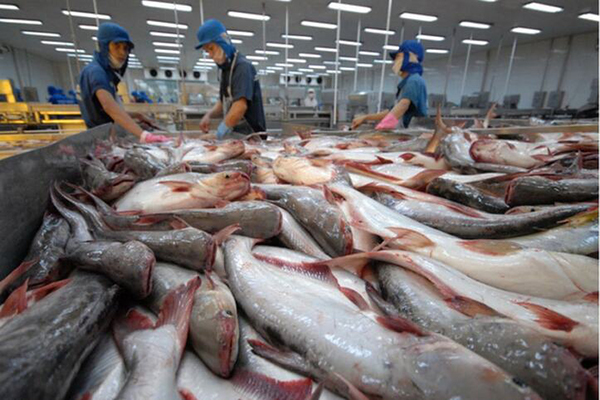 Quy định mới về chứng nhận thủy sản xuất khẩu sang Hoa Kỳ