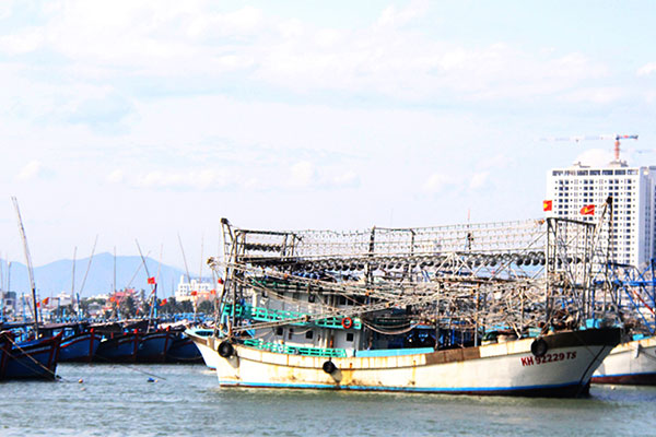 Việt Nam hướng đến Hoàn thiện và Hiện đại hóa cơ sở hạ tầng ngành Thủy sản