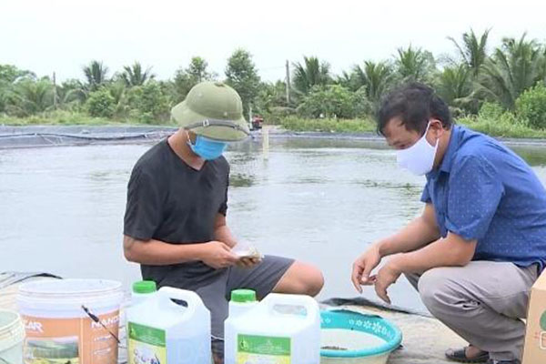 Thanh Hóa: phòng, chống một số dịch bệnh nguy hiểm trên thủy sản nuôi giai đoạn 2021-2030