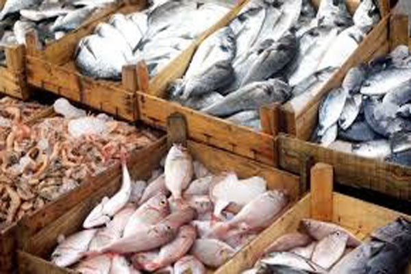 Phái đoàn EU đến Ấn Độ để kiểm tra các sản phẩm thủy sản