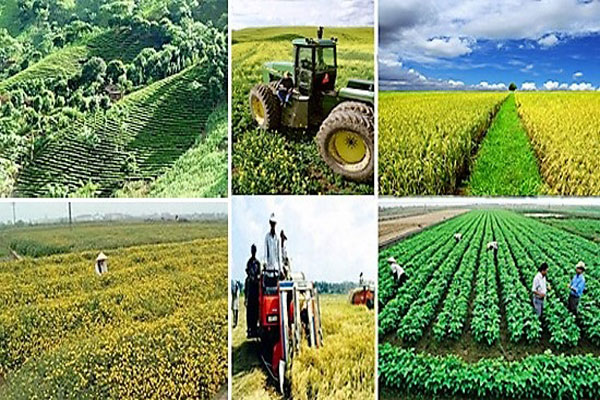 Chương trình mục tiêu Tái cơ cấu kinh tế nông nghiệp và phòng chống giảm nhẹ thiên tai