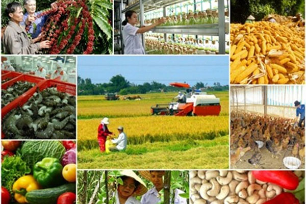 Thanh Hóa: Cơ cấu lại ngành nông nghiệp giai đoạn 2018-2020