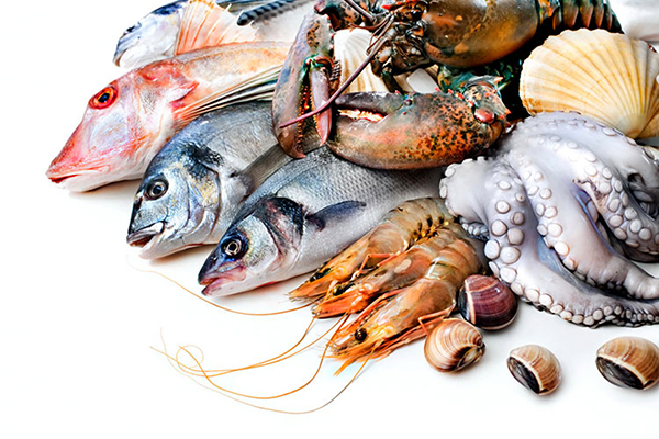 Tăng cường thẩm định, chứng nhận an toàn thực phẩm thủy sản xuất khẩu -