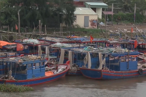 Digital transformation in fisheries management in Thai Binh