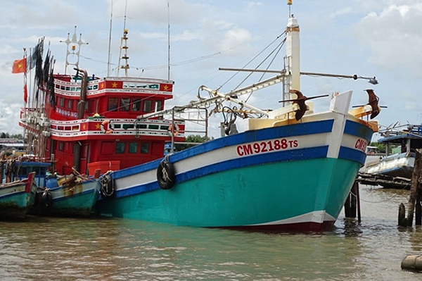 Cà Mau: Chống khai thác thủy sản bất hợp pháp, không khai báo cáo, không theo quy định (IUU)