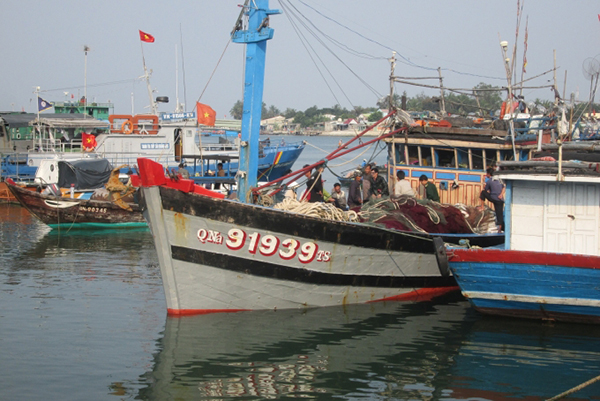 Quảng Nam: kiểm tra, giám sát 100% tàu cá rời và cập cảng bốc dỡ thủy sản qua cảng