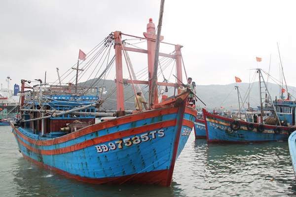 Công tác triển khai thực hiện các chính sách về phát triển thủy sản tại Bình Định