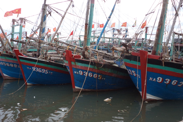 Nghệ An: Phát triển đội tàu khai thác hải sản giai đoạn 2016-2020, tầm nhìn 2030