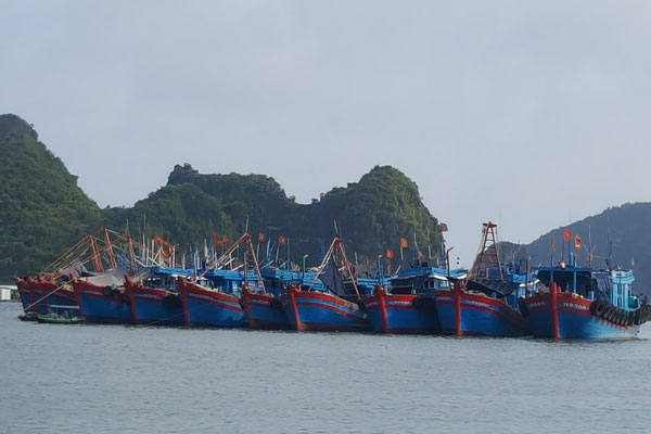 Một số yêu cầu về thông tin tàu cá, hoạt động khai thác liên quan đến thị trường nhập khẩu thuỷ sản của Việt Nam