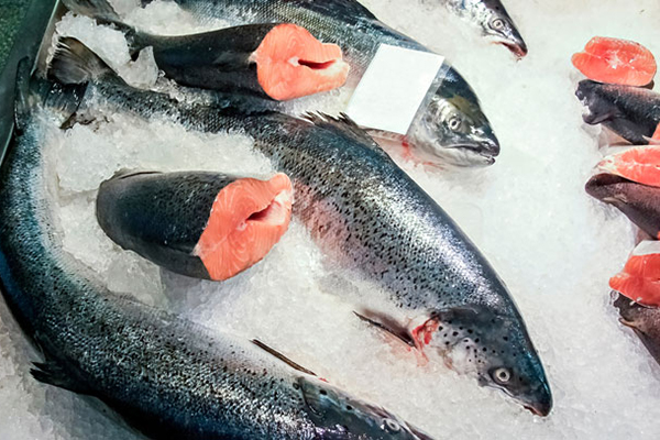 Thị trường cá hồi toàn cầu ổn định nhờ nguồn cung tăng (Phần 2, hết)