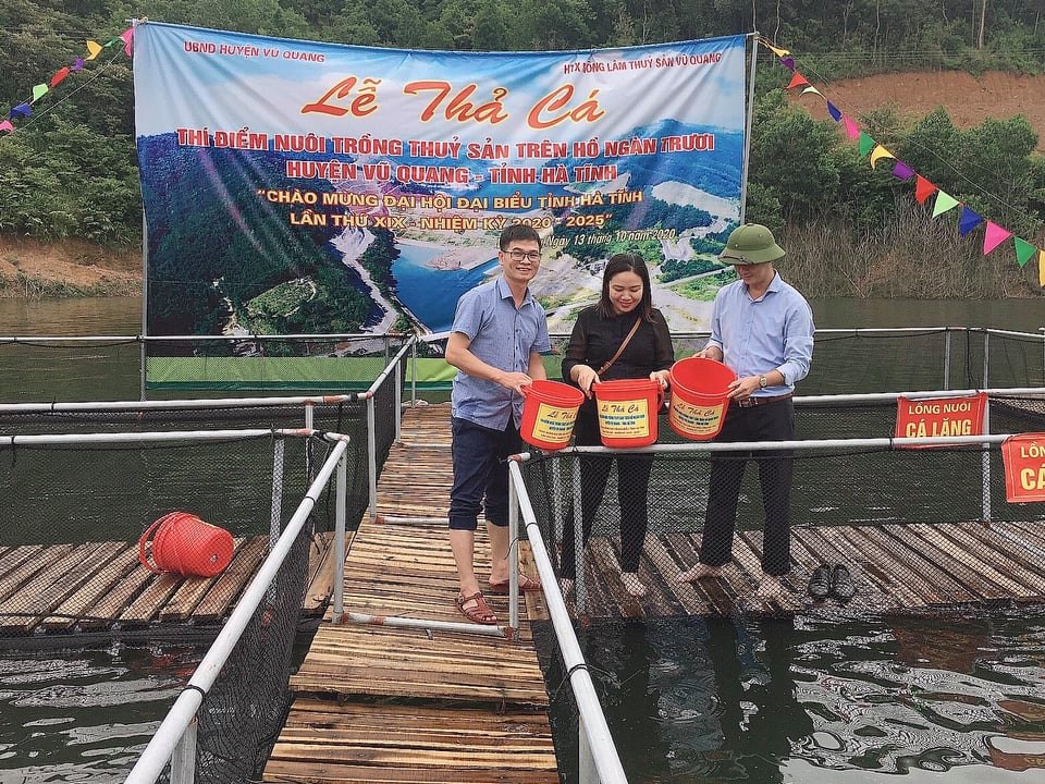 Hà Tĩnh: Thả cá thực hiện mô hình thí điểm nuôi cá lồng bè trên hồ Ngàn Trươi