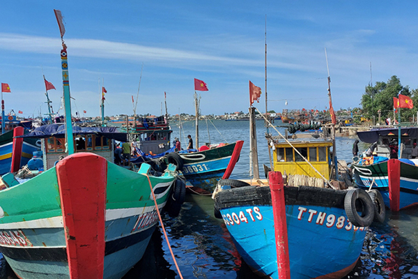 Thua Thien Hue: Deploying key measures against IUU fishing to prepare for