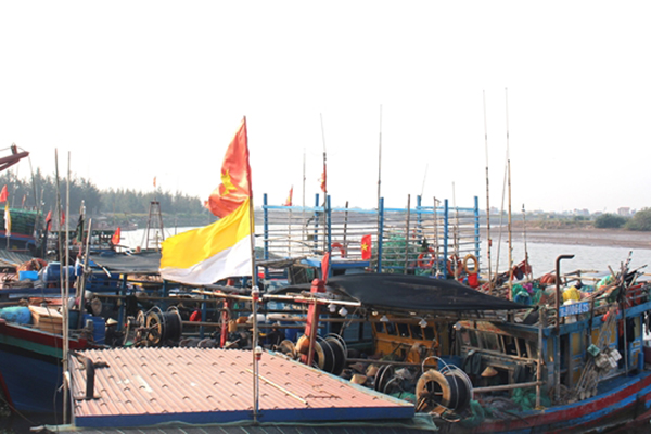 Thái Bình tăng cường quản lý tàu cá ra, vào cảng và giám sát sản lượng lên bến