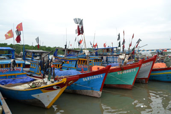 Thành phố Hồ Chí Minh quyết tâm ngăn chặn, chấm dứt tình trạng tàu cá vi phạm khai thác hải sản trái phép ở vùng biển nước ngoài
