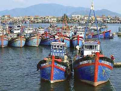 Hoai Nhon to focus on supervising fishing activities